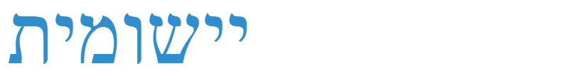 ניר ליכטנשטיין – פילוסופיה יישומית